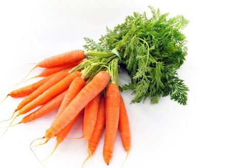 Carrot/Gazar