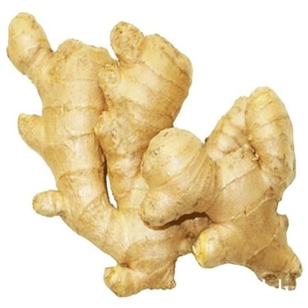 Ginger/Adrak