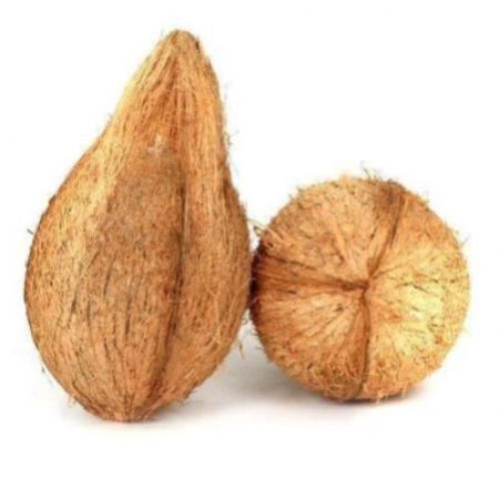 Coconut